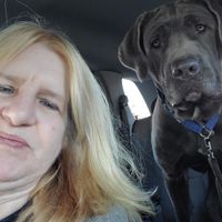 Shirley Stull profile picture