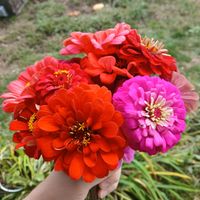 Kimber Moore profile picture