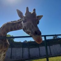 miamm profile picture