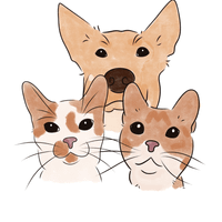 Threegingertails profile picture