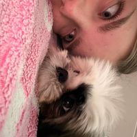 Lana Komatovic profile picture