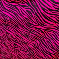 zebrix profile picture