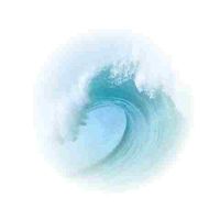 Dunjaa profile picture