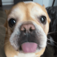 Lucy profile picture