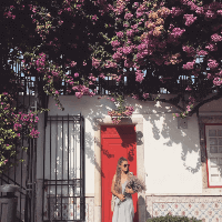 Tijana Simic profile picture