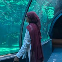Humairah Amojee profile picture