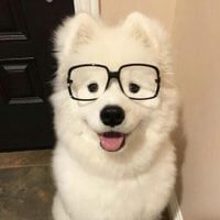 Kat Back profile picture