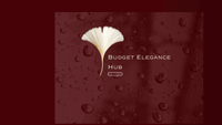 Budget Elegance profile picture