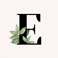 En's favorites 🧚🏼‍♀️ profile picture
