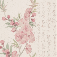 Lily Mir profile picture