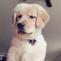 Oliver profile picture