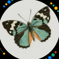 Allyn Hensley profile picture