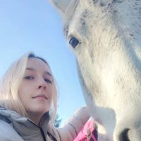Serenity's Soul Healing profile picture