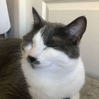 Jada Melick profile picture