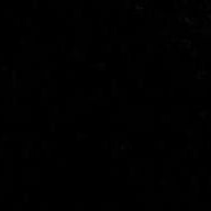 Sabrina Basile profile picture