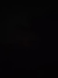 Adell profile picture