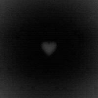 🖤 profile picture