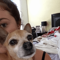Glowva Picks profile picture