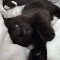 mycosylife profile picture