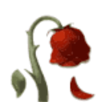 SECONDBEST profile picture