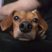 Sanaza Interro profile picture