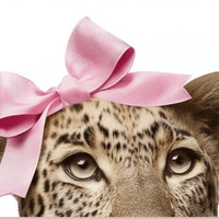 ౨ৎ chosen4you profile picture