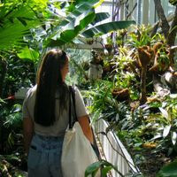 milica profile picture