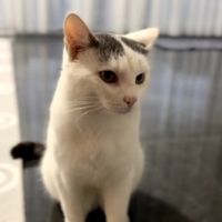 Blue 🦋 profile picture