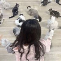 Cherry profile picture