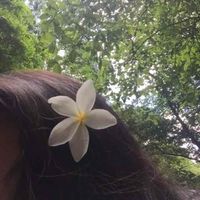 Zarah Khan profile picture