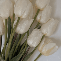 megan w profile picture