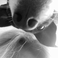 Anjo profile picture
