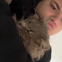 Petar Kocevski profile picture