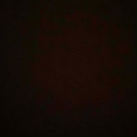A profile picture