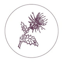 Thistle Lane Events profile picture