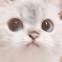 Milena profile picture