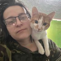 Katie Terpstra profile picture