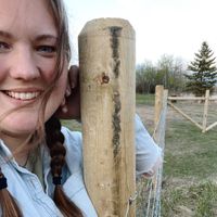 Alexandra Kolkman profile picture