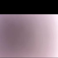 l profile picture