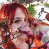 Zeljana Angeleski profile picture