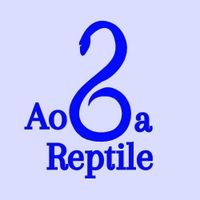 AodaReptile profile picture