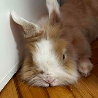 Maggy profile picture