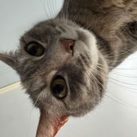 Brigett Duncan profile picture