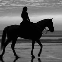 Glownique profile picture