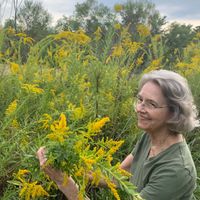 Gabrielle Hebert profile picture