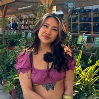 Rosie Chan profile picture