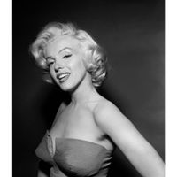 Tina Corpron profile picture