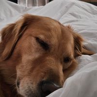 Fits and Looks profile picture