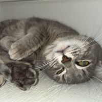 Empressbeautifulsoul profile picture