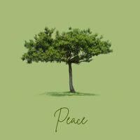 Leon's profile picture